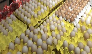 鸡蛋壳的主要成分是 鸡蛋壳主要元素